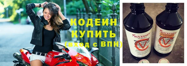 гашик Бородино