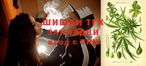гашик Бородино