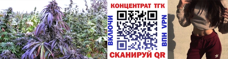 ТГК вейп  даркнет сайт  Данилов 