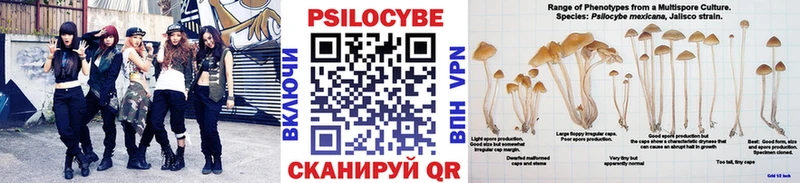 Псилоцибиновые грибы мухоморы  Данилов 