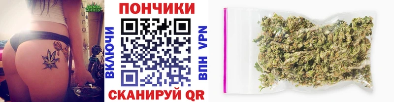 Бошки марихуана гибрид  ссылка на мегу зеркало  Данилов 